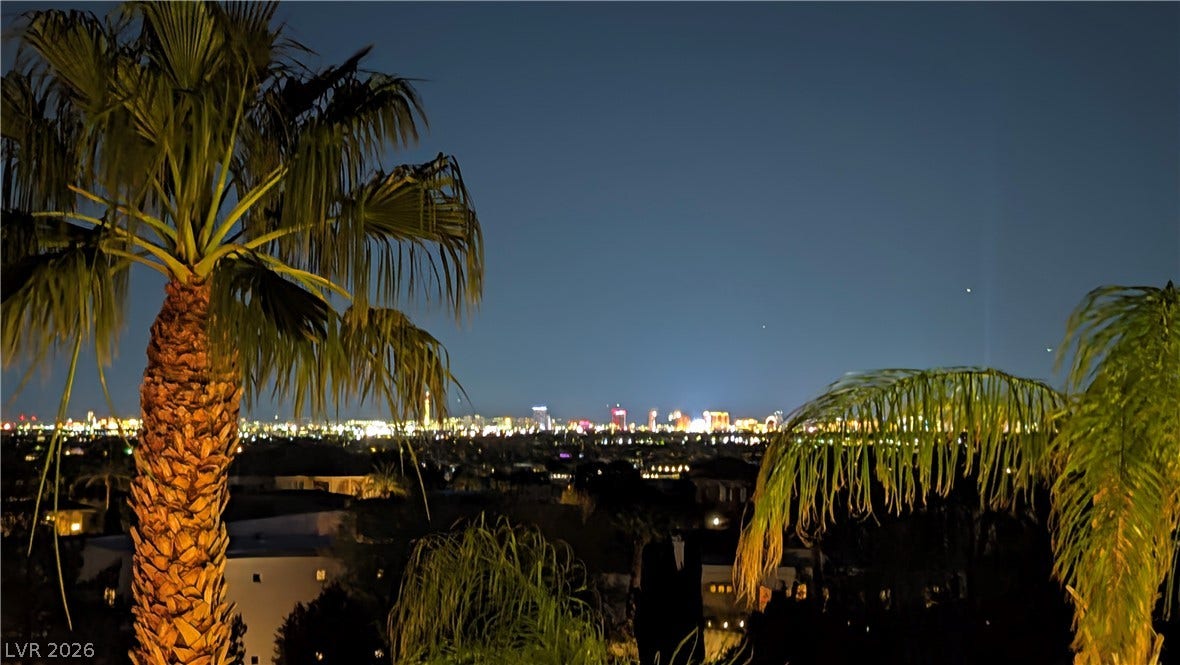 Glimmering city skyline lights sparkle across the horizon beyond mature palm trees.