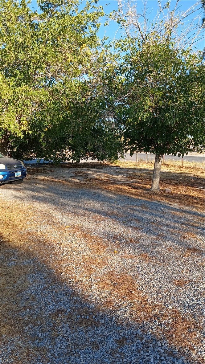 3490 E Savoy Boulevard, Pahrump, NV 89061 Mature trees shade a spacious gravel parking area on this rural property.