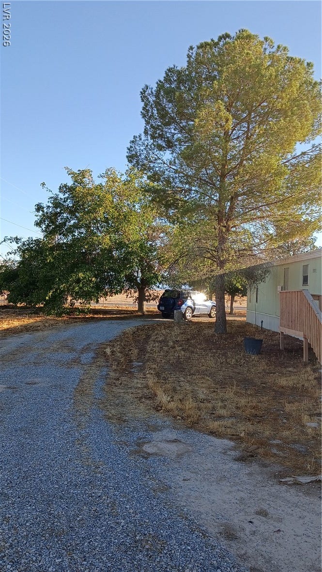 3490 E Savoy Boulevard, Pahrump, NV 89061 Mature trees frame a long gravel driveway leading past the residence.