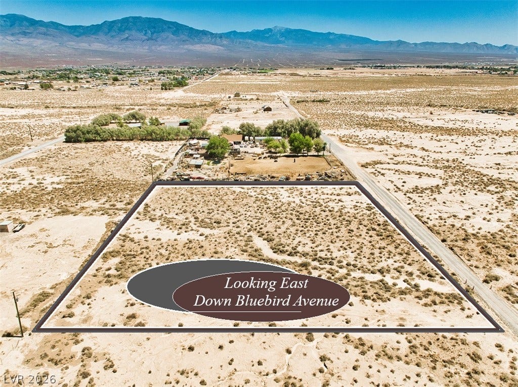 1650 W Bluebird Avenue, Pahrump, NV 89060