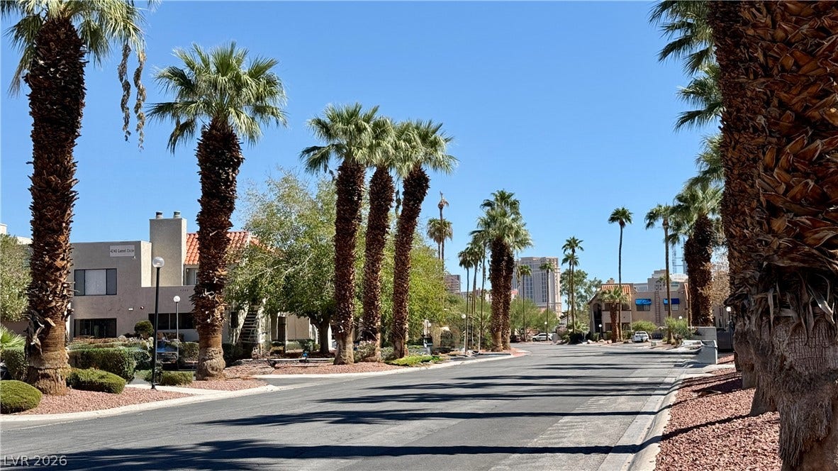 4321 Gannet Circle, #199, Las Vegas, NV 89103 Towering palm trees line a quiet, paved residential street under clear blue desert skies.