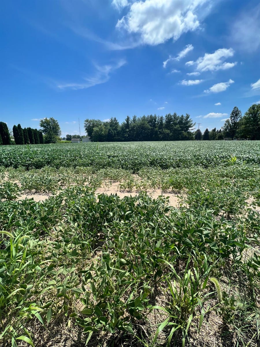 Property photo for 0-Lot 1 Wood Road, Rensselaer, IN