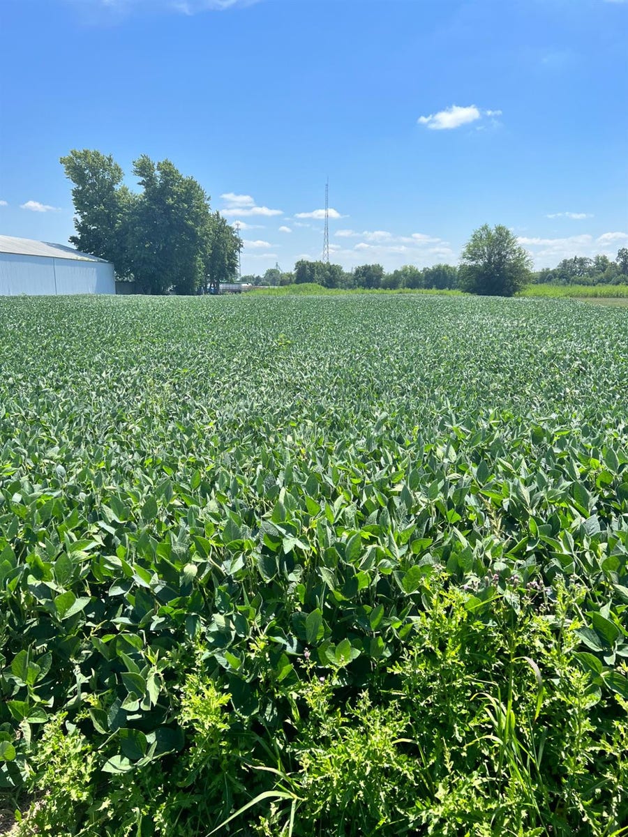 Property photo for 0-Lot 4 Wood Road, Rensselaer, IN