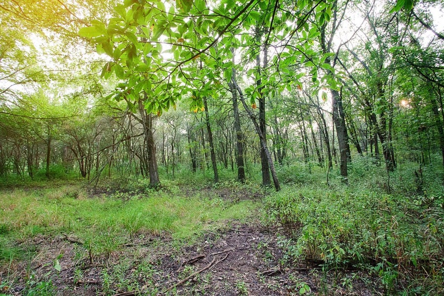 Property photo for 4351-lot 19 Willard Lane, Lowell, IN