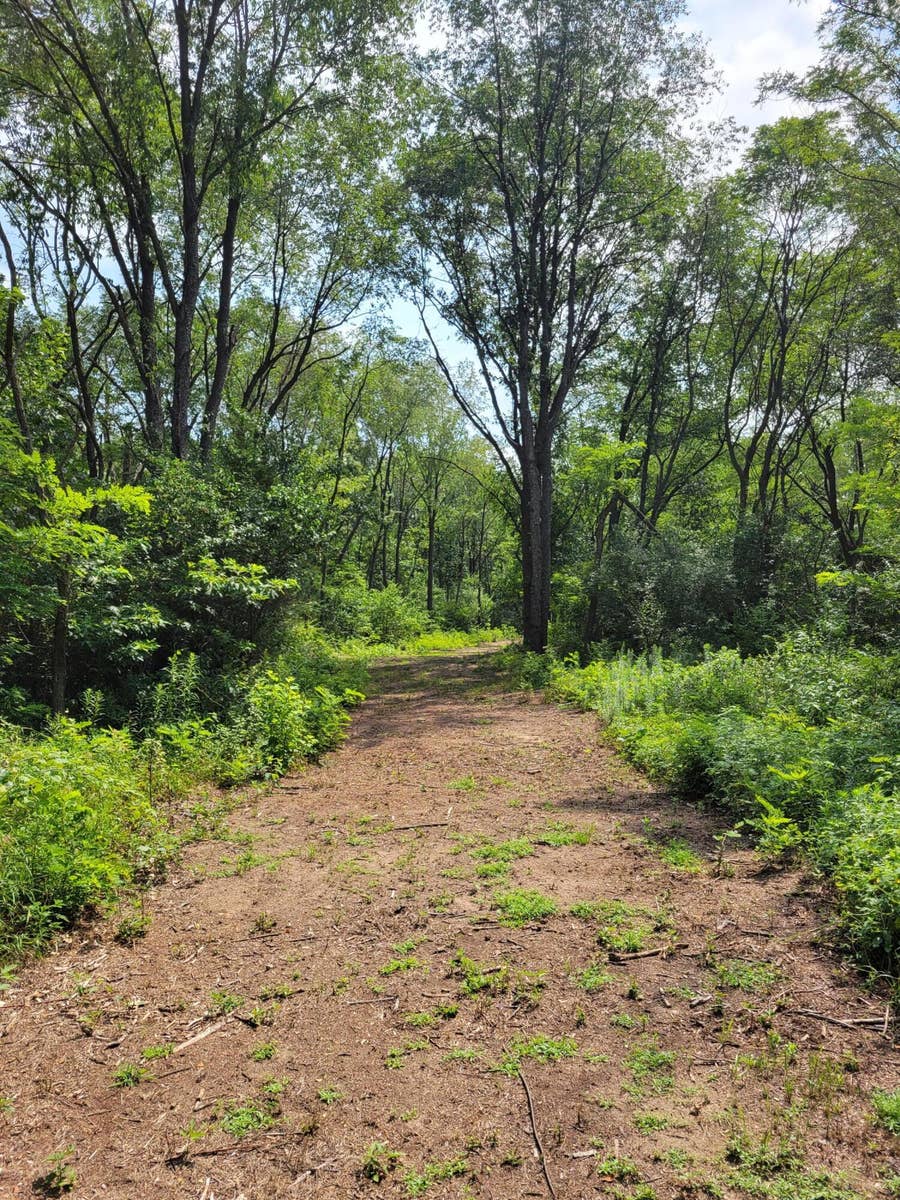 Property photo for Lot 2 E 100, Lake Village, IN