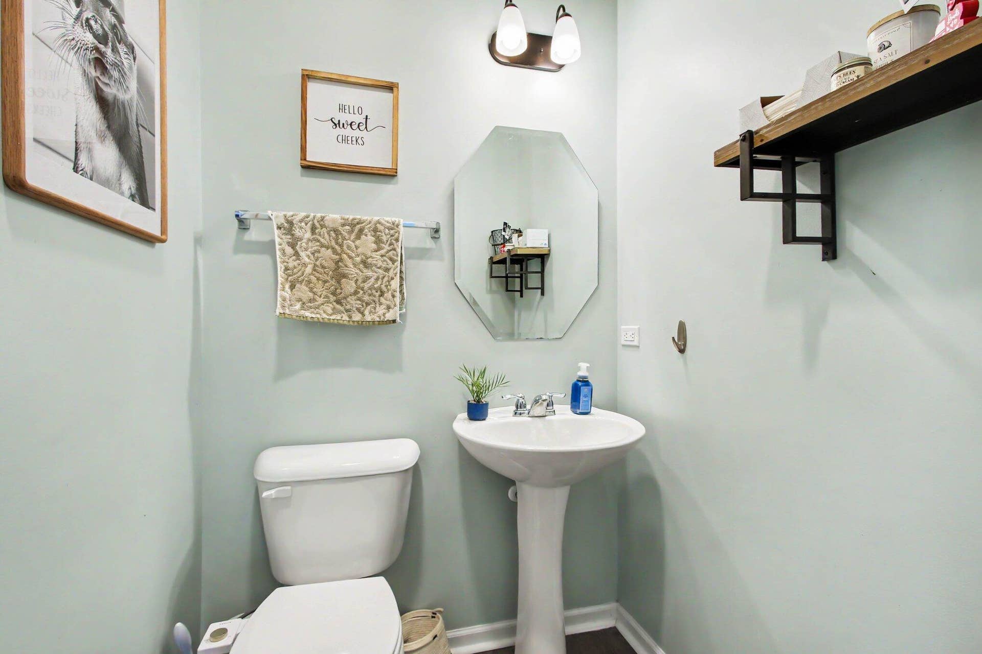 9172 Briar Lane, St. John, IN 46373 024_4z2a6024_618