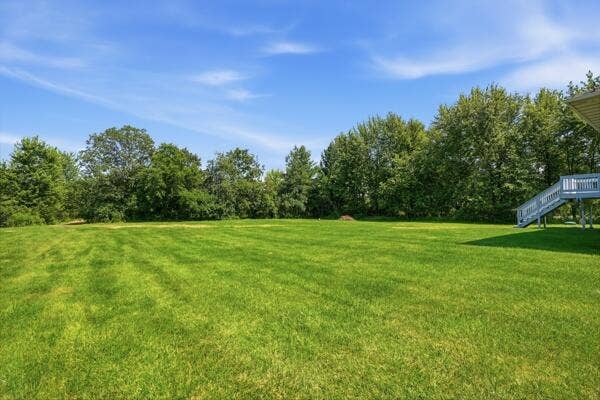 15465 backyard