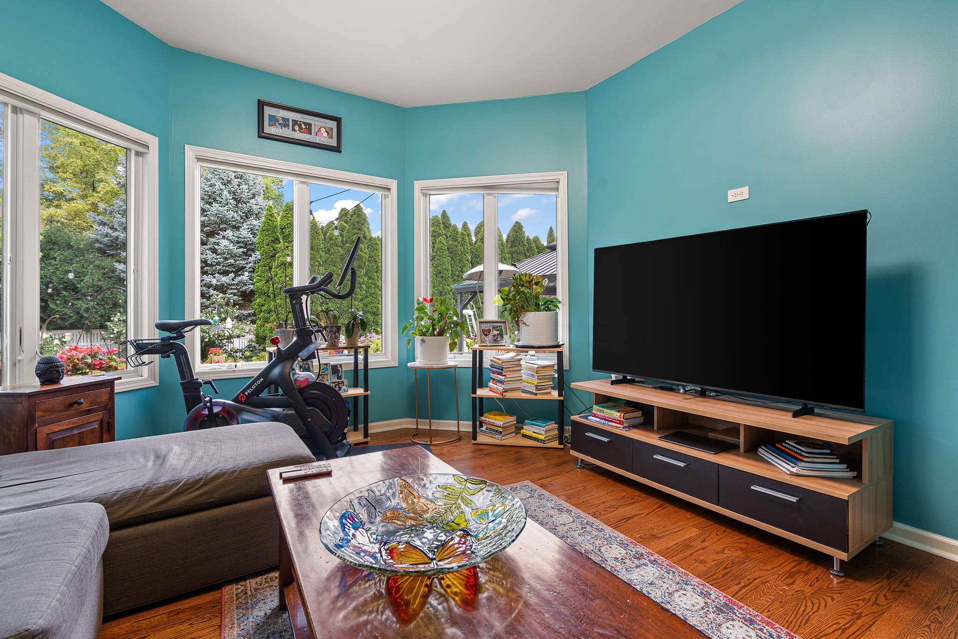 28-web-or-mls-DSC02313