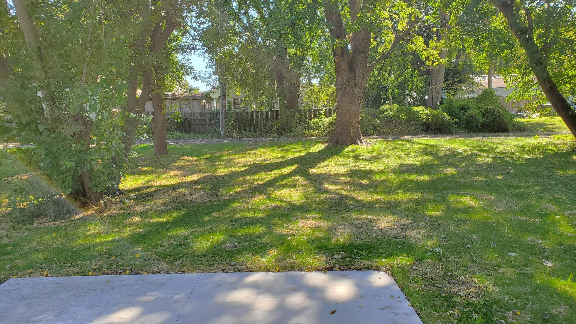 303 E Washington - View of Back Yard