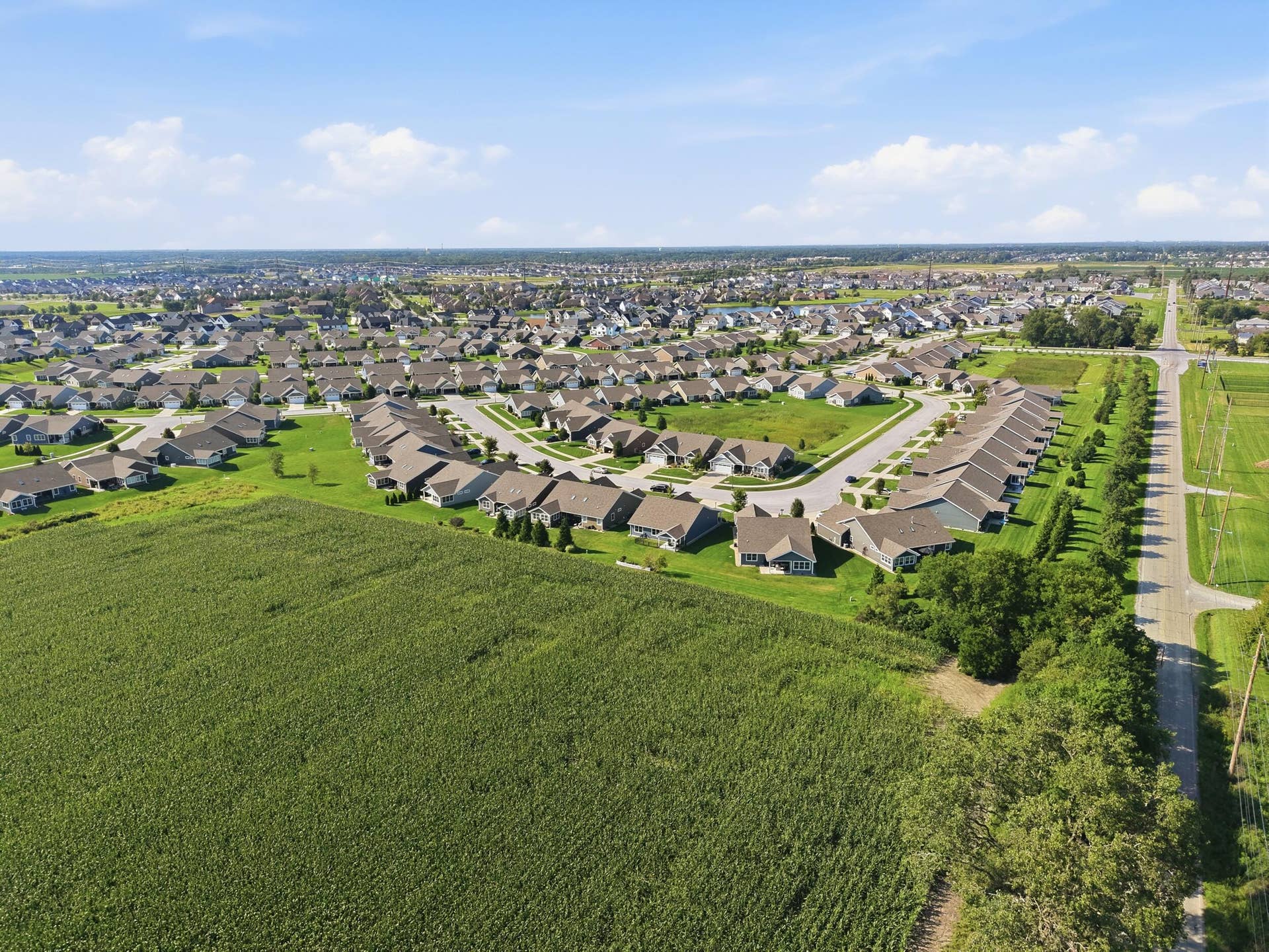 View of the Neighborhood