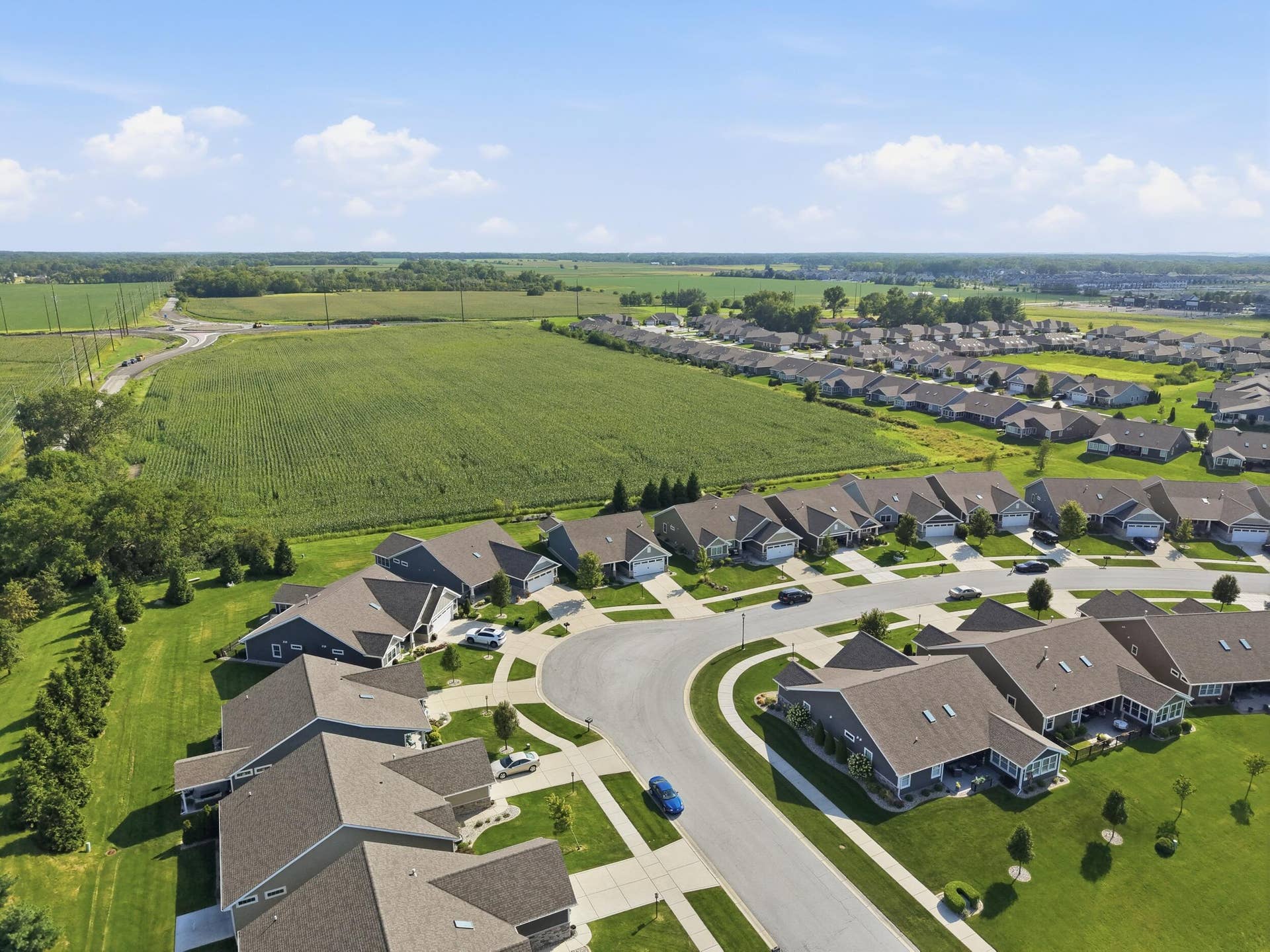 View of the Neighborhood