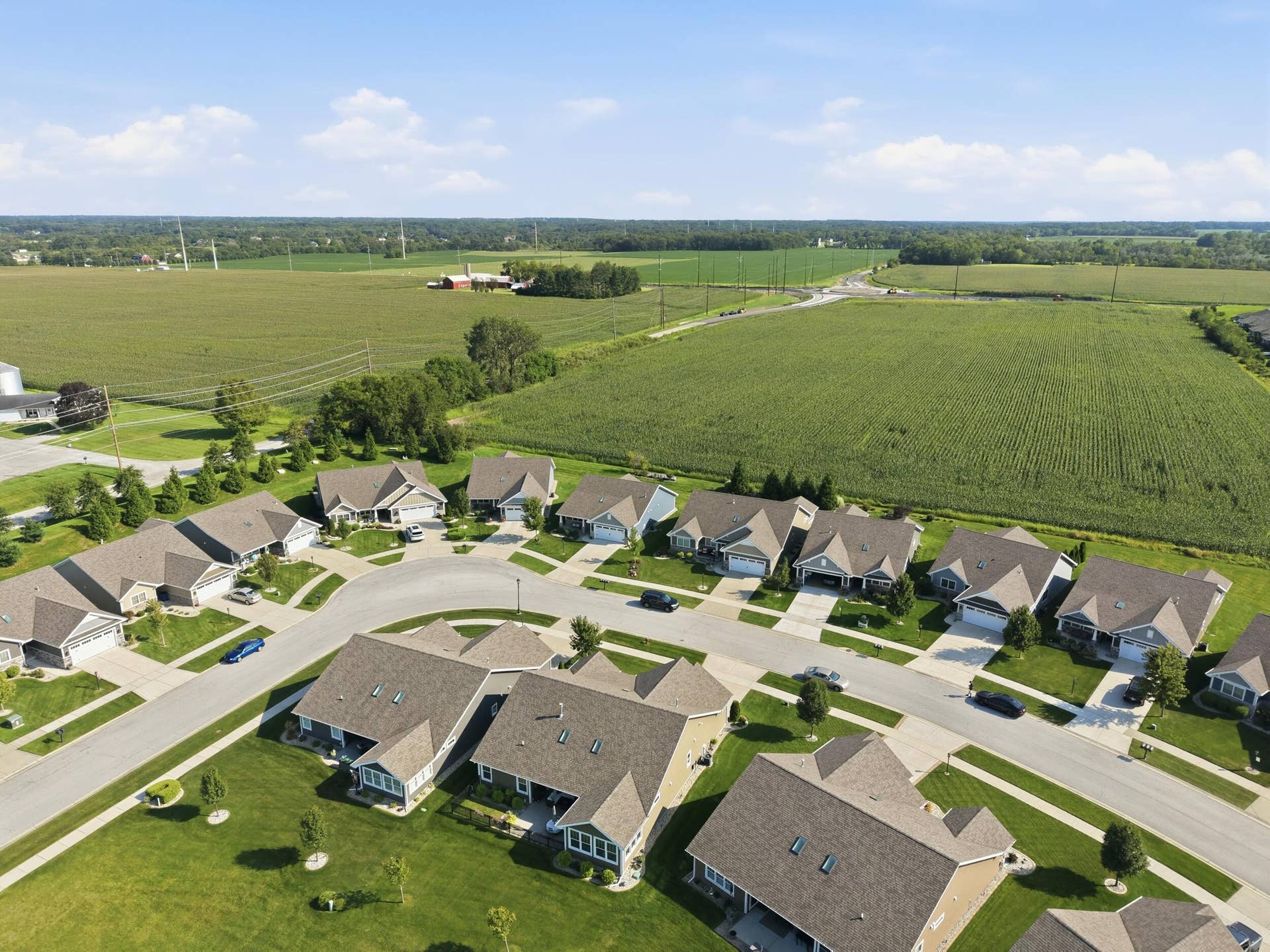 View of the Neighborhood