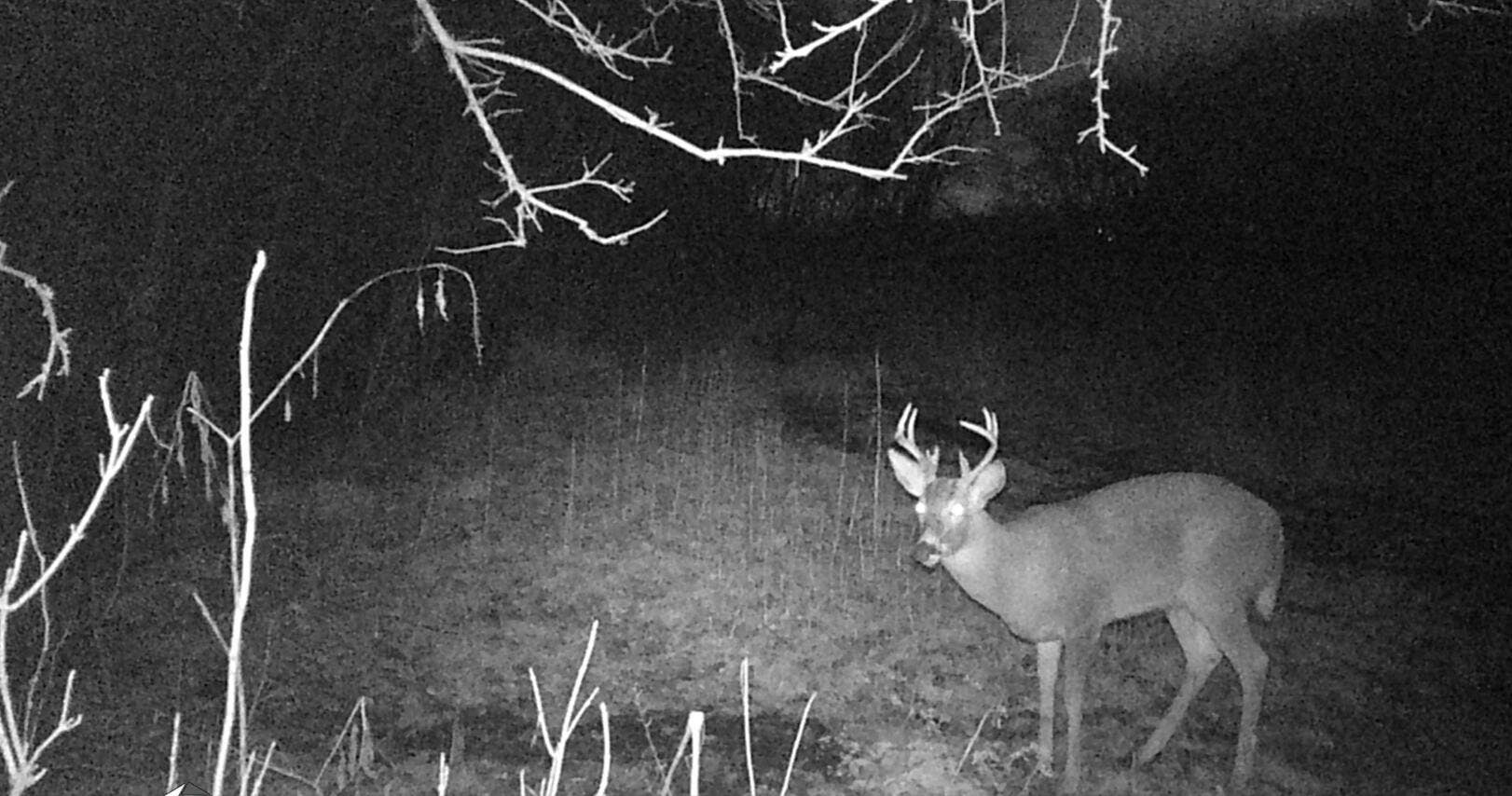 Dec. 2025 trail cam