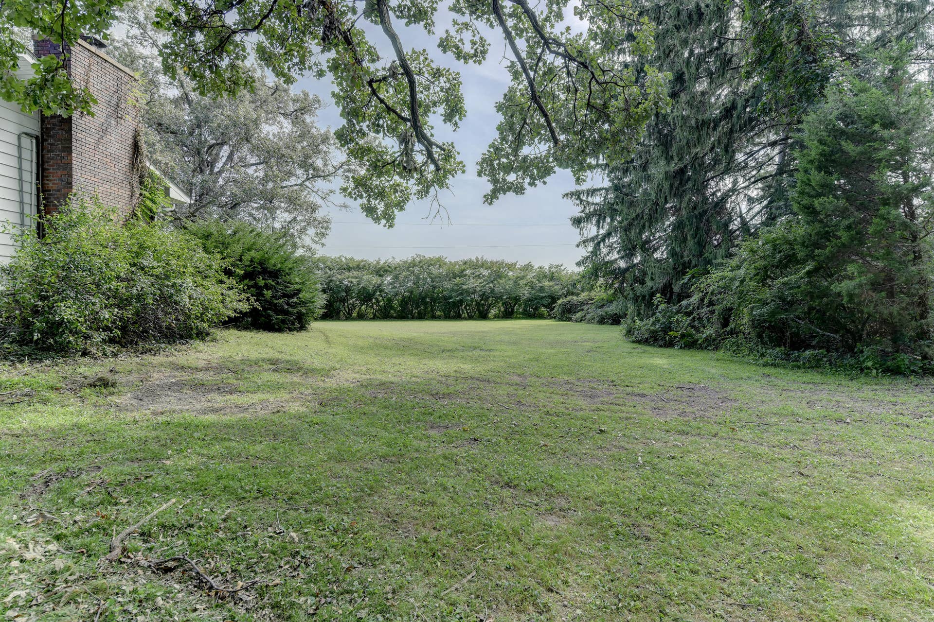 View to front yard (road beyond trees)