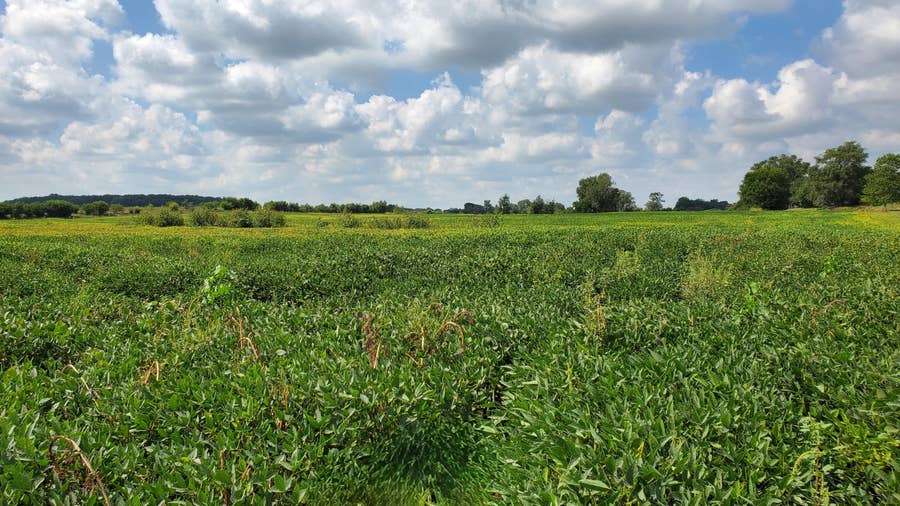Property photo for 000 W County Road 200, Rensselaer, IN