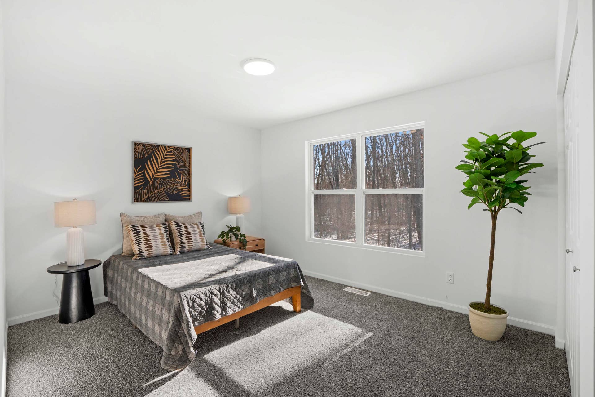 5988 Onyx Avenue, Lowell, IN 46356 DSC06122