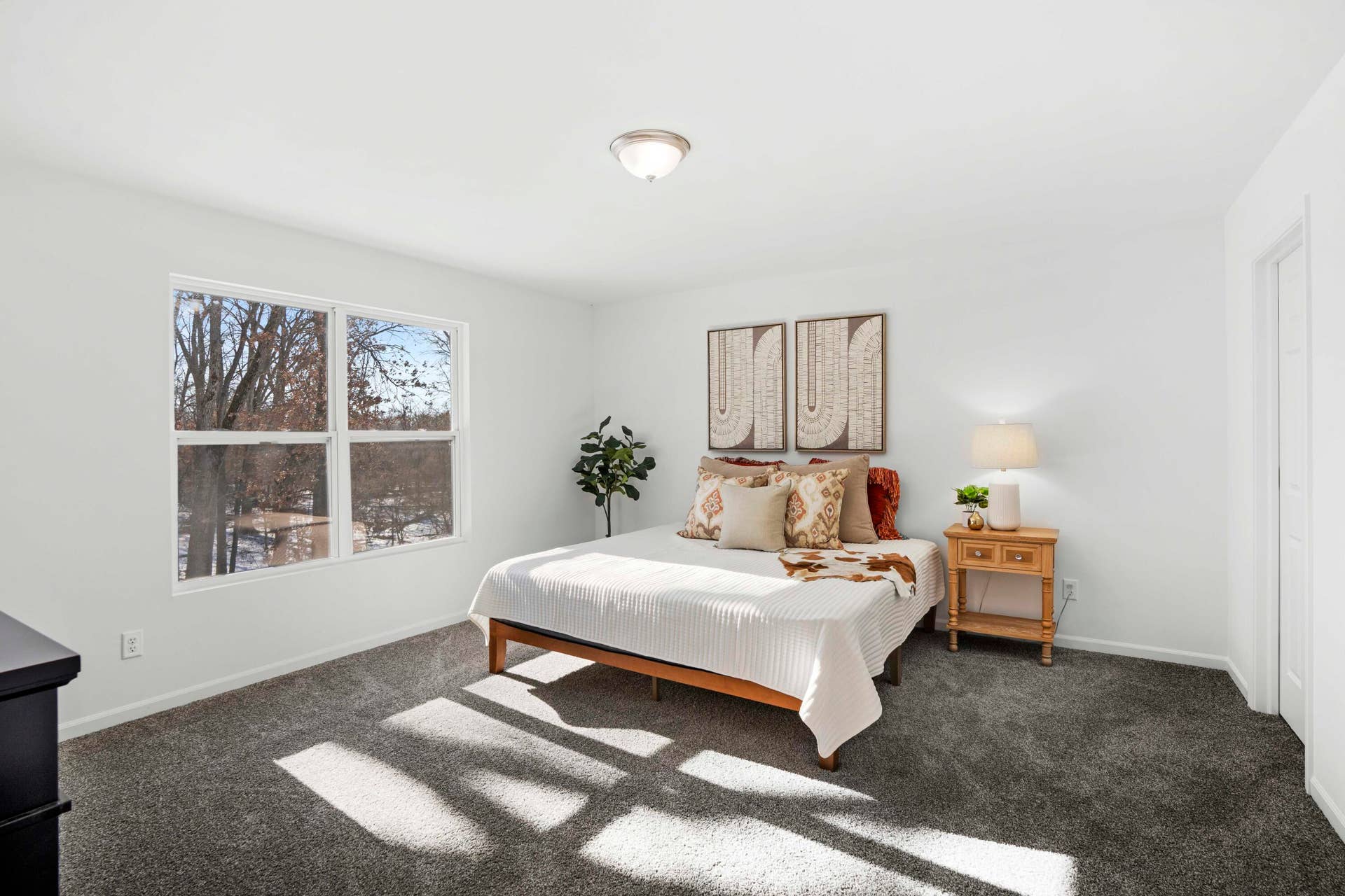 5988 Onyx Avenue, Lowell, IN 46356 DSC06127