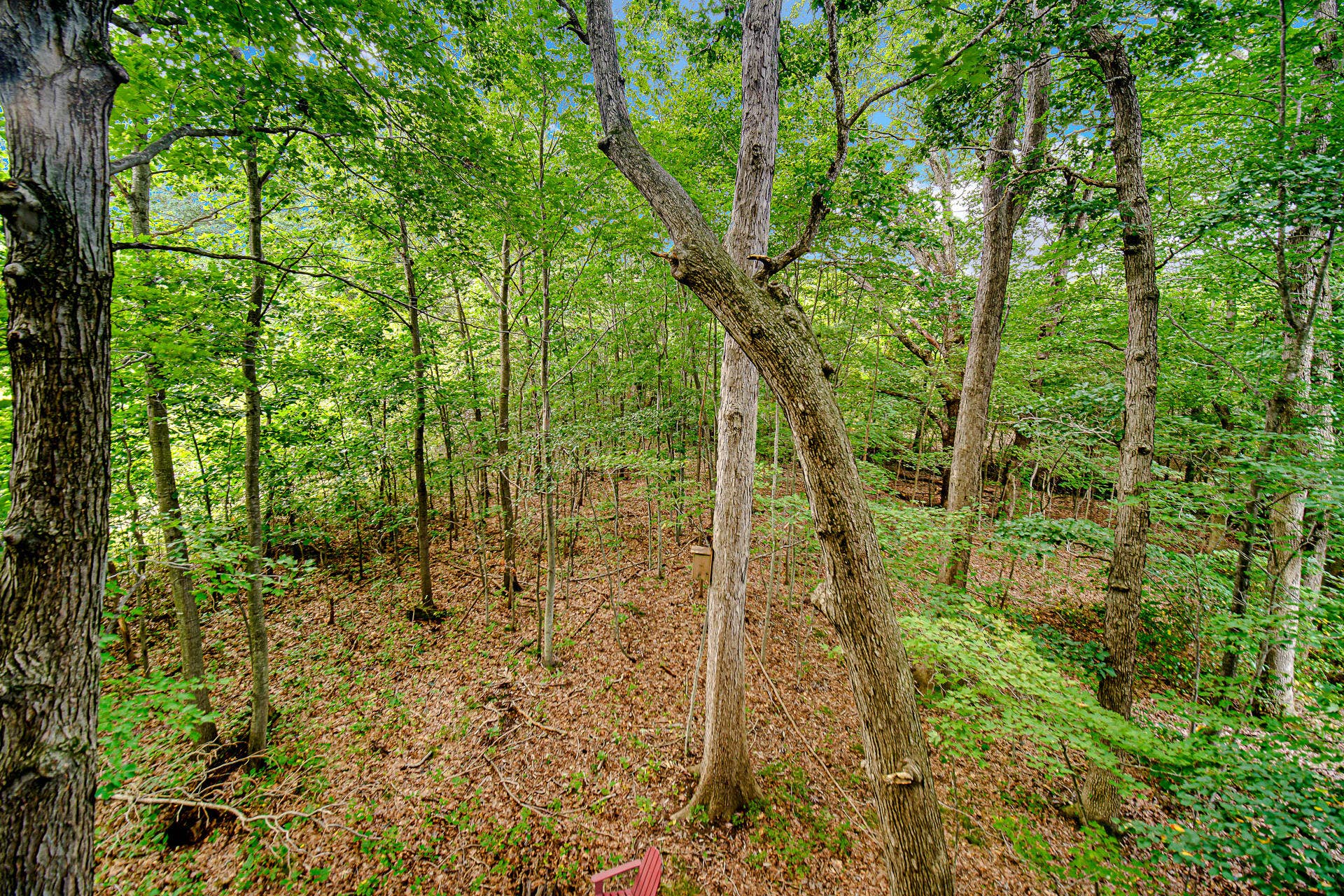 69 Tryon Farm Lane, Michigan City, IN 46360 DSC04888