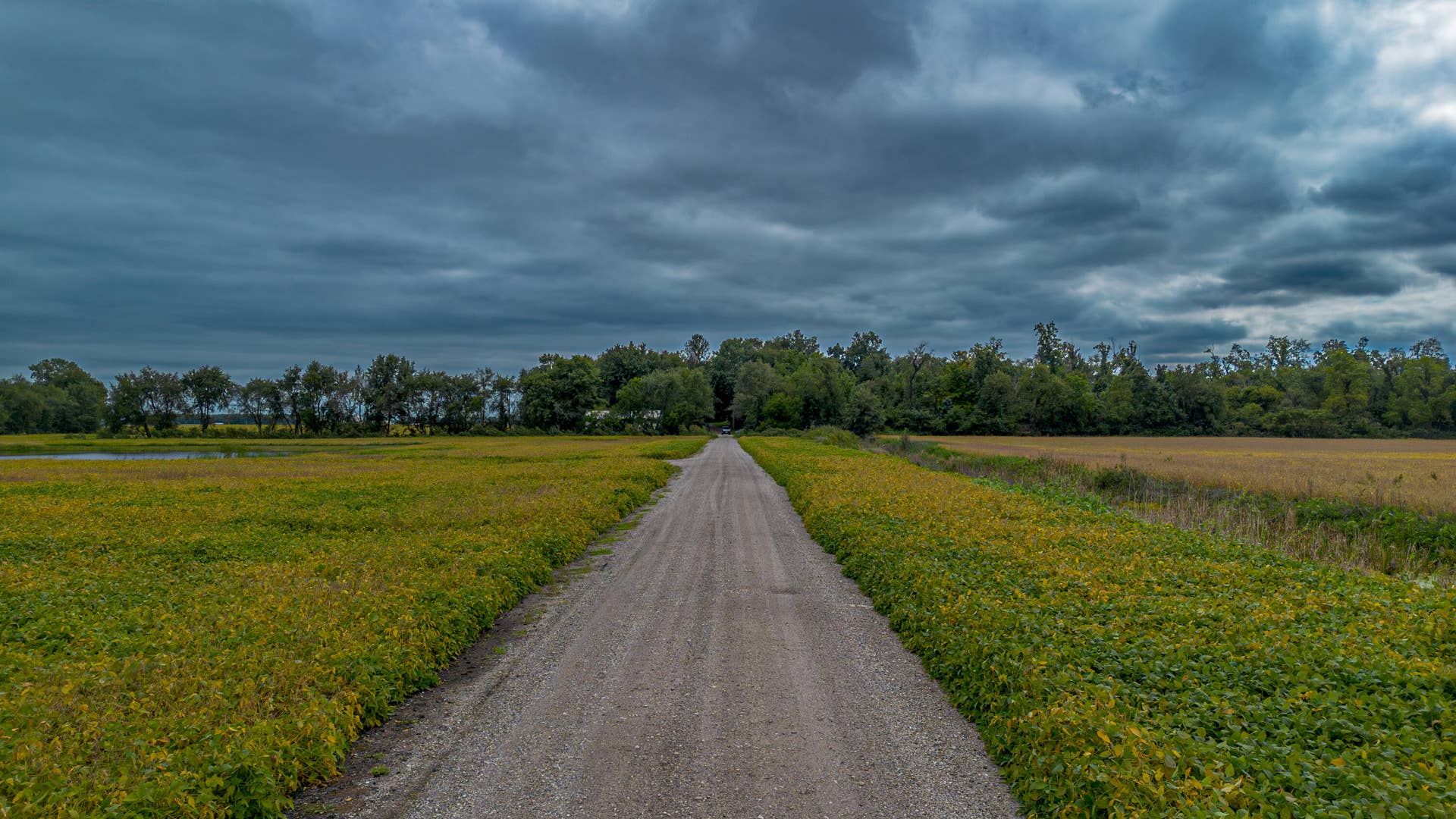 Driveway 1