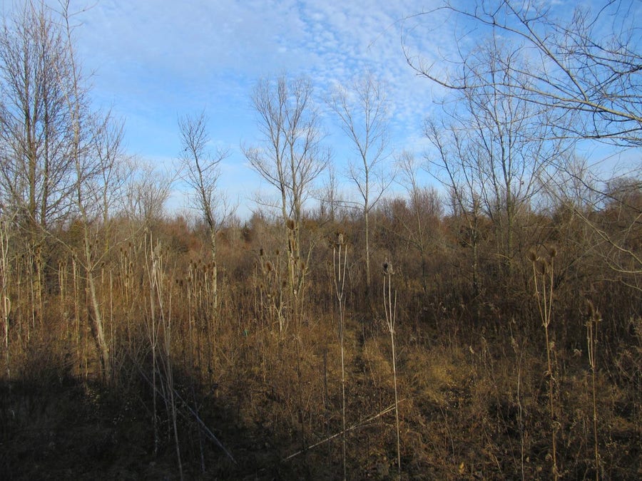 Property photo for 0-lot 8 Grant Street, Merrillville, IN