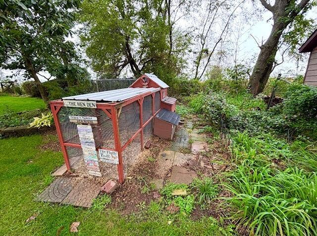 Chicken Coop w/Chickens