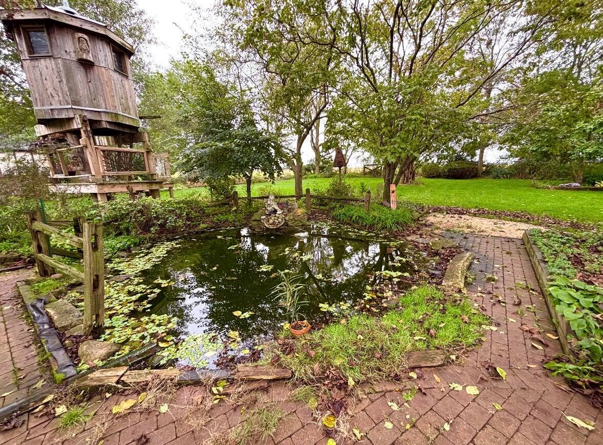 Treehouse & Fish Pond