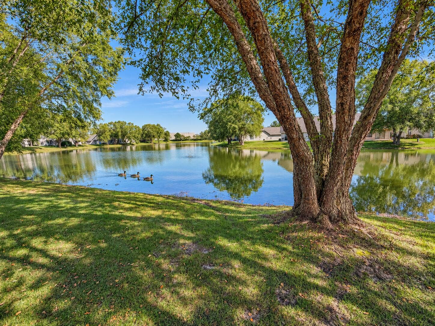 1471 Lakewood Lane, Schererville, IN 46375 E92D4AFC-61C5-42FC-A155-8E47CC3A172F