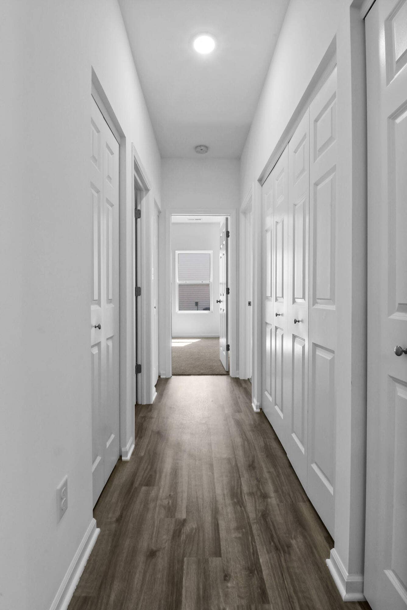 Camelia hallway