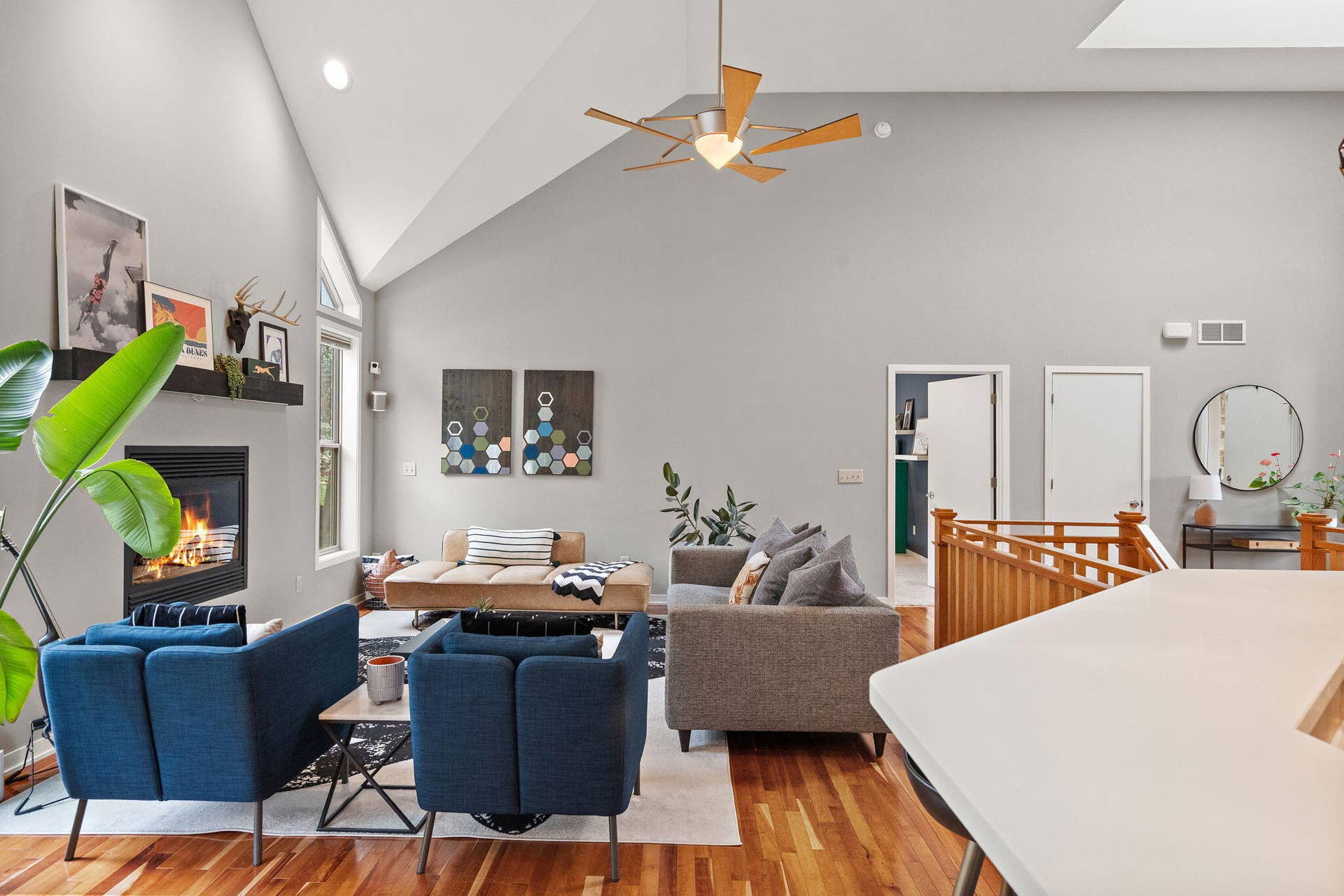 14-web-or-mls-DSC05637