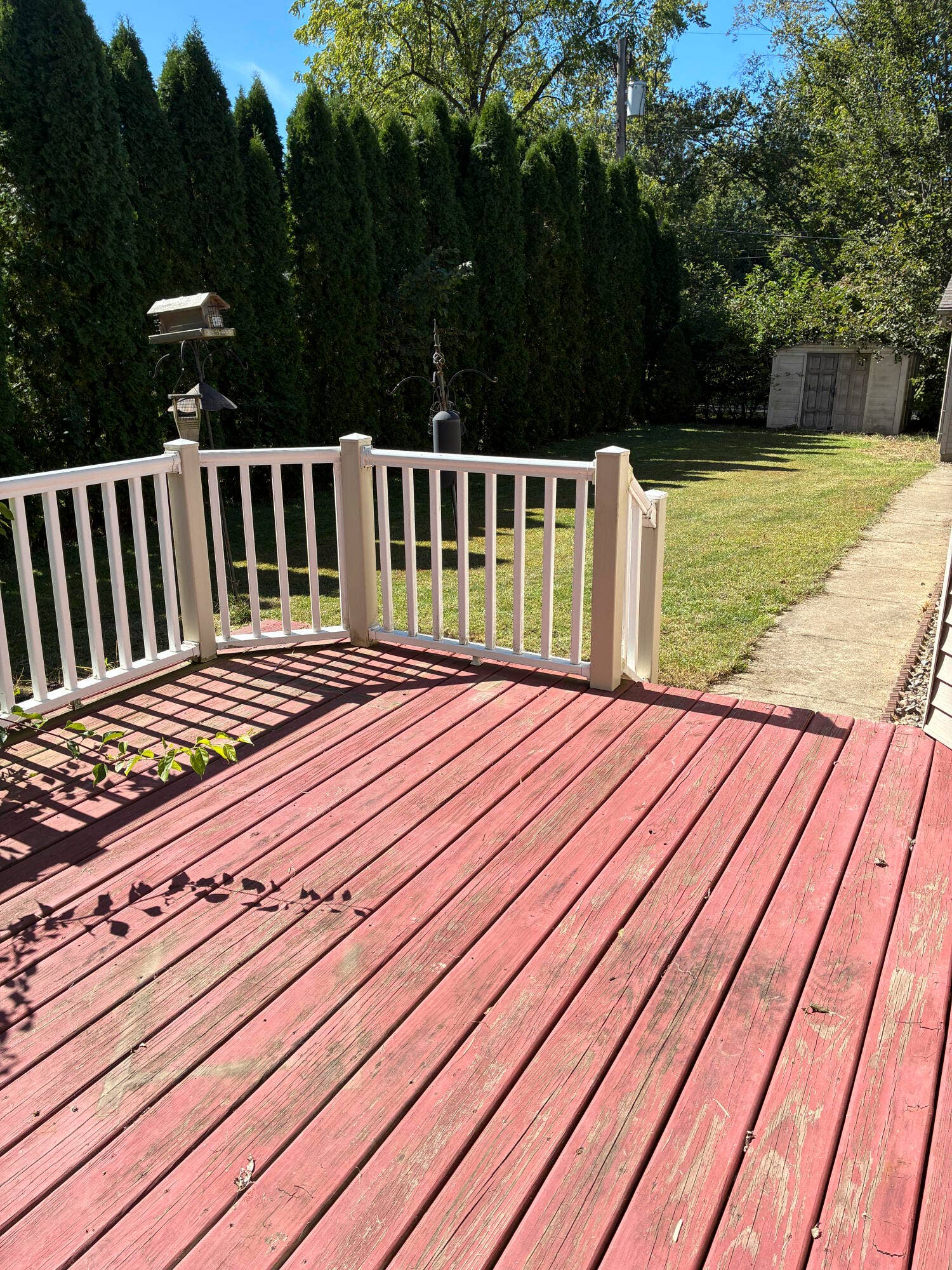 Private back yard with deck & shed