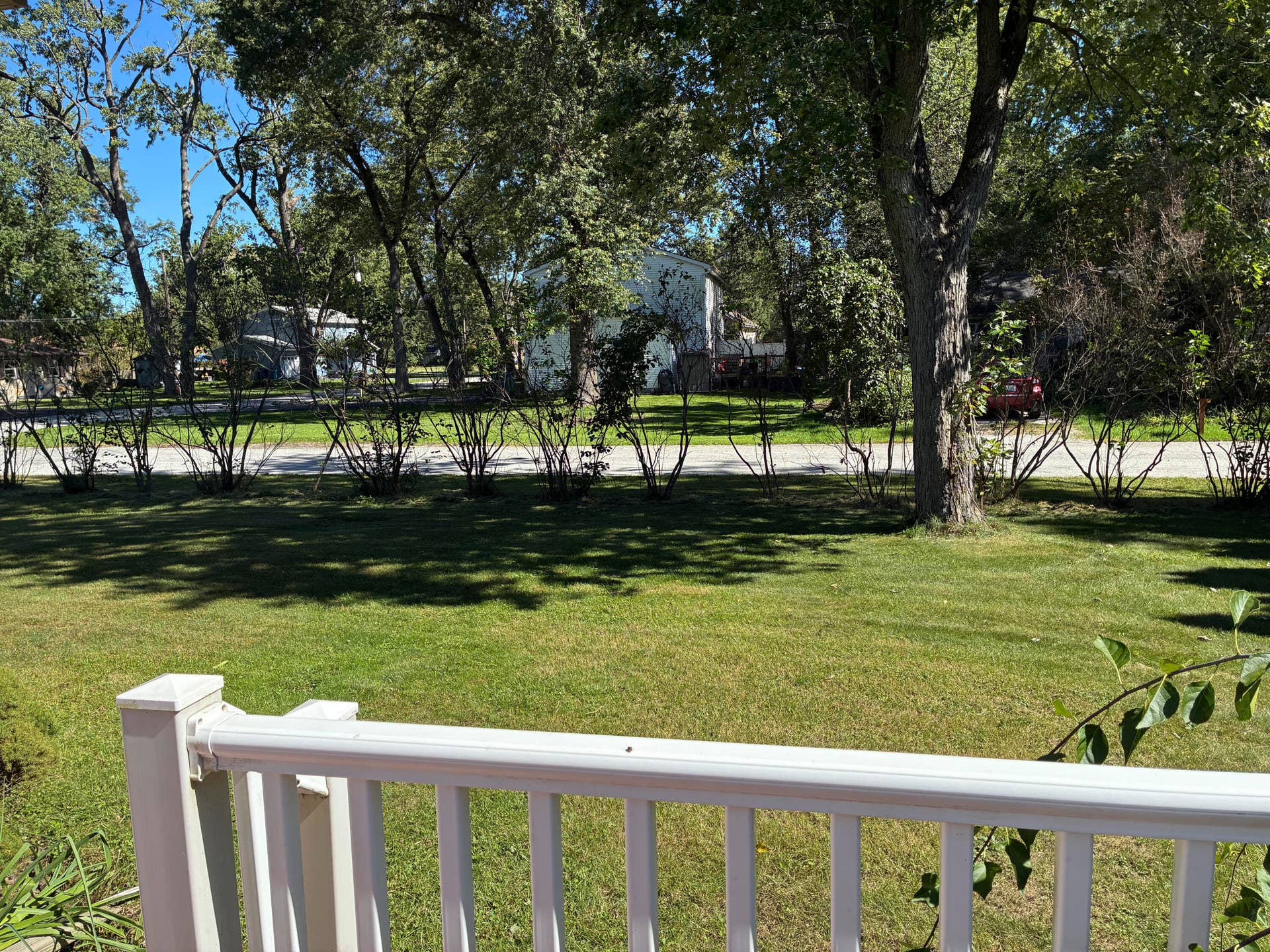 East side yard