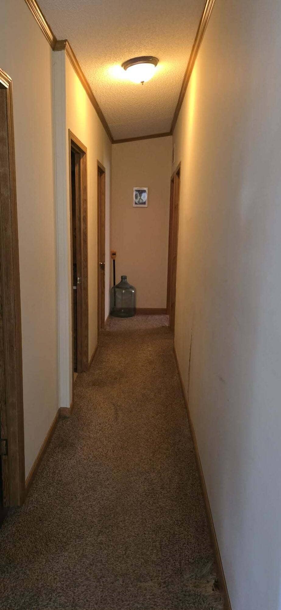 3134 N 943, Lake Village, IN 46349 1000082772