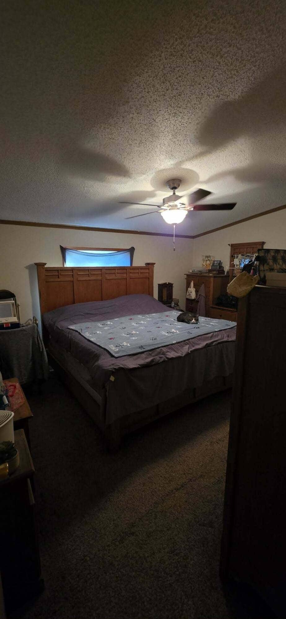 3134 N 943, Lake Village, IN 46349 1000082769