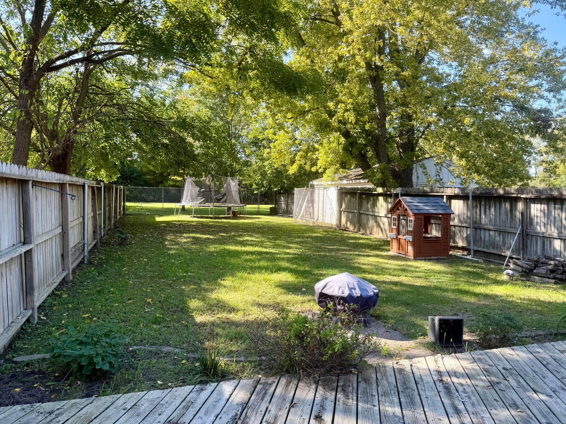 Back Yard