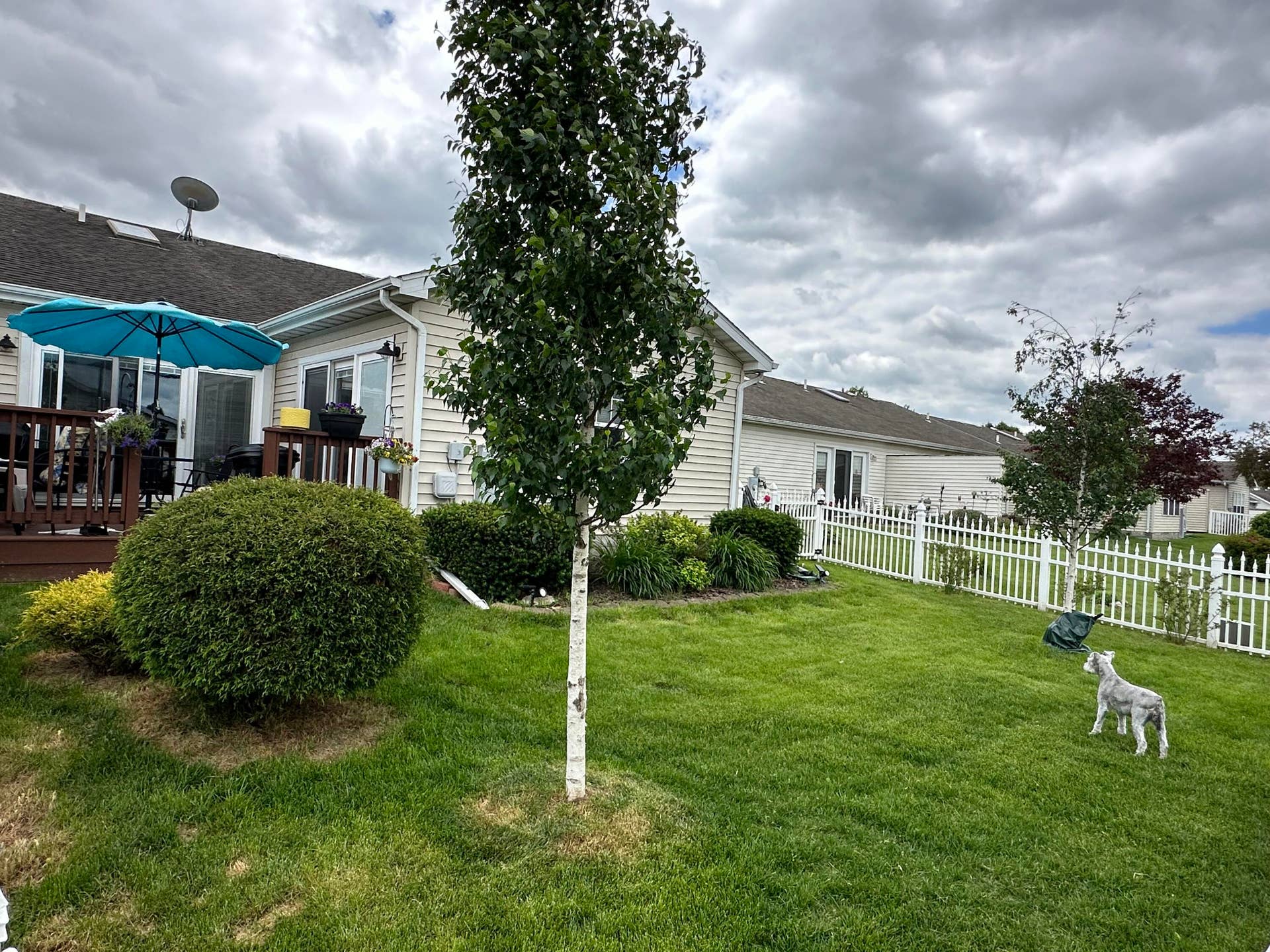 Back Yard, showing Deck
