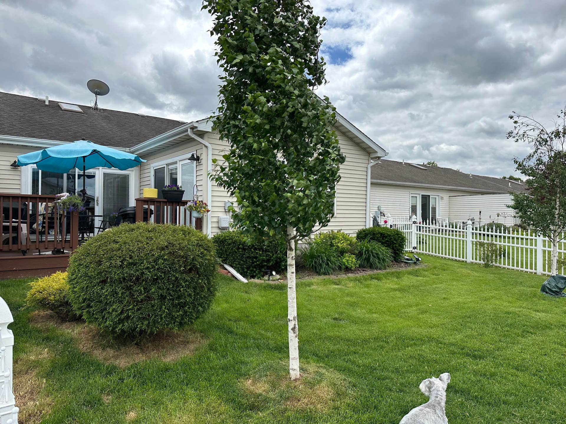 Back Yard, showing Deck Area