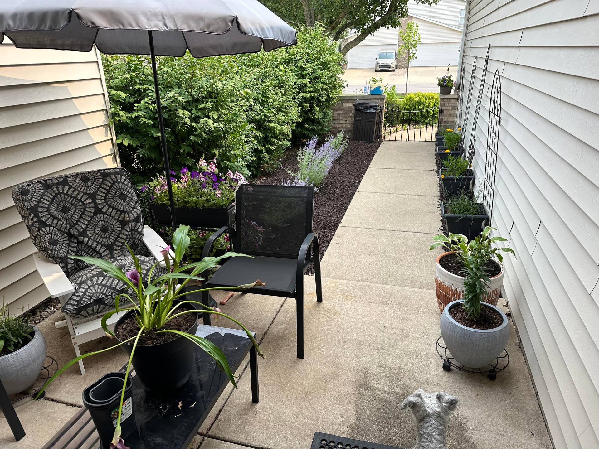 Front Entry Outside