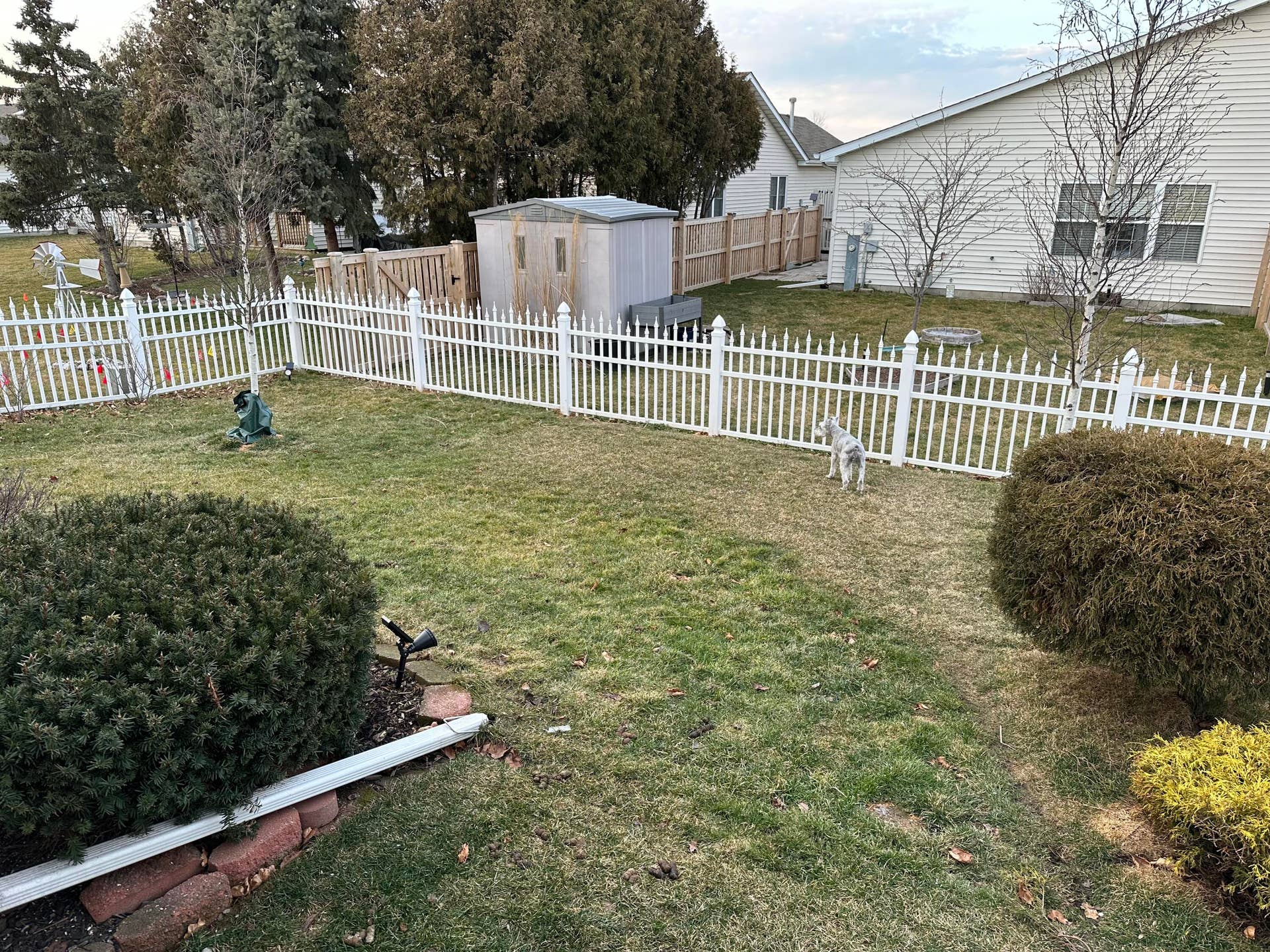 Back yard