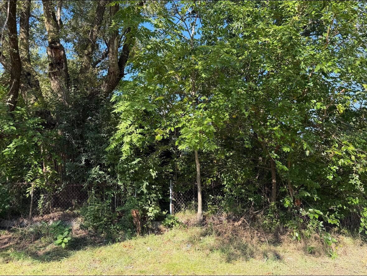 2012 Hovey Place, Gary, IN 46406 IMG_1613