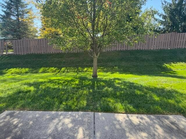View from Patio