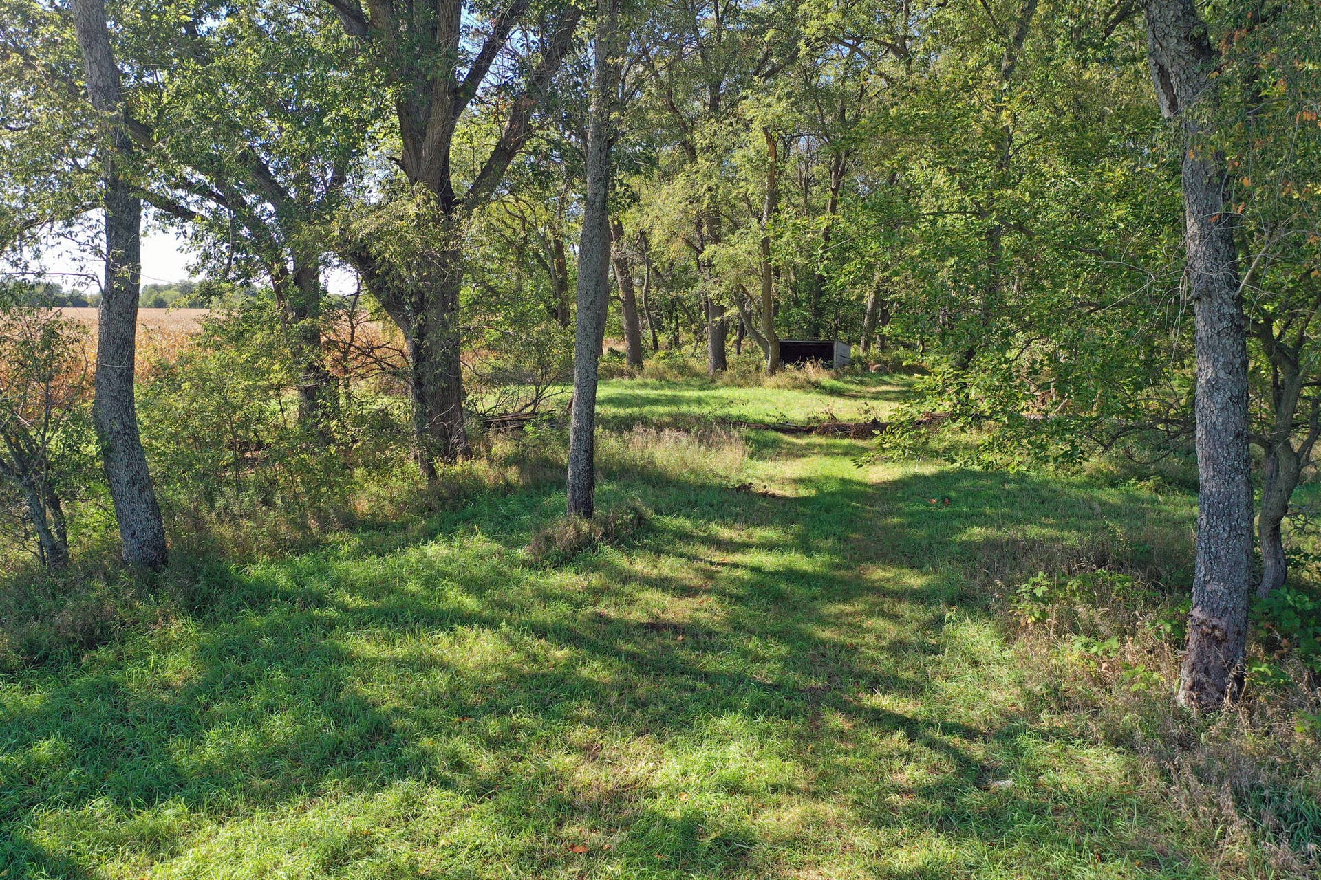 7406 E County Rd 60, Rensselaer, IN 47978 DJI_0544