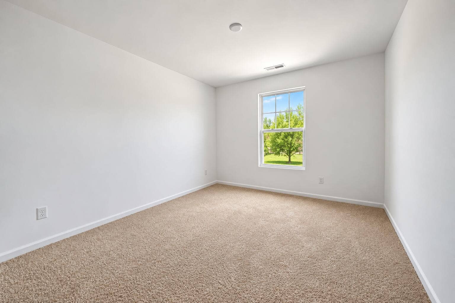 22 Levanno Drive, Crown Point, IN 46307 Sunlit Empty Room with Greenery View
