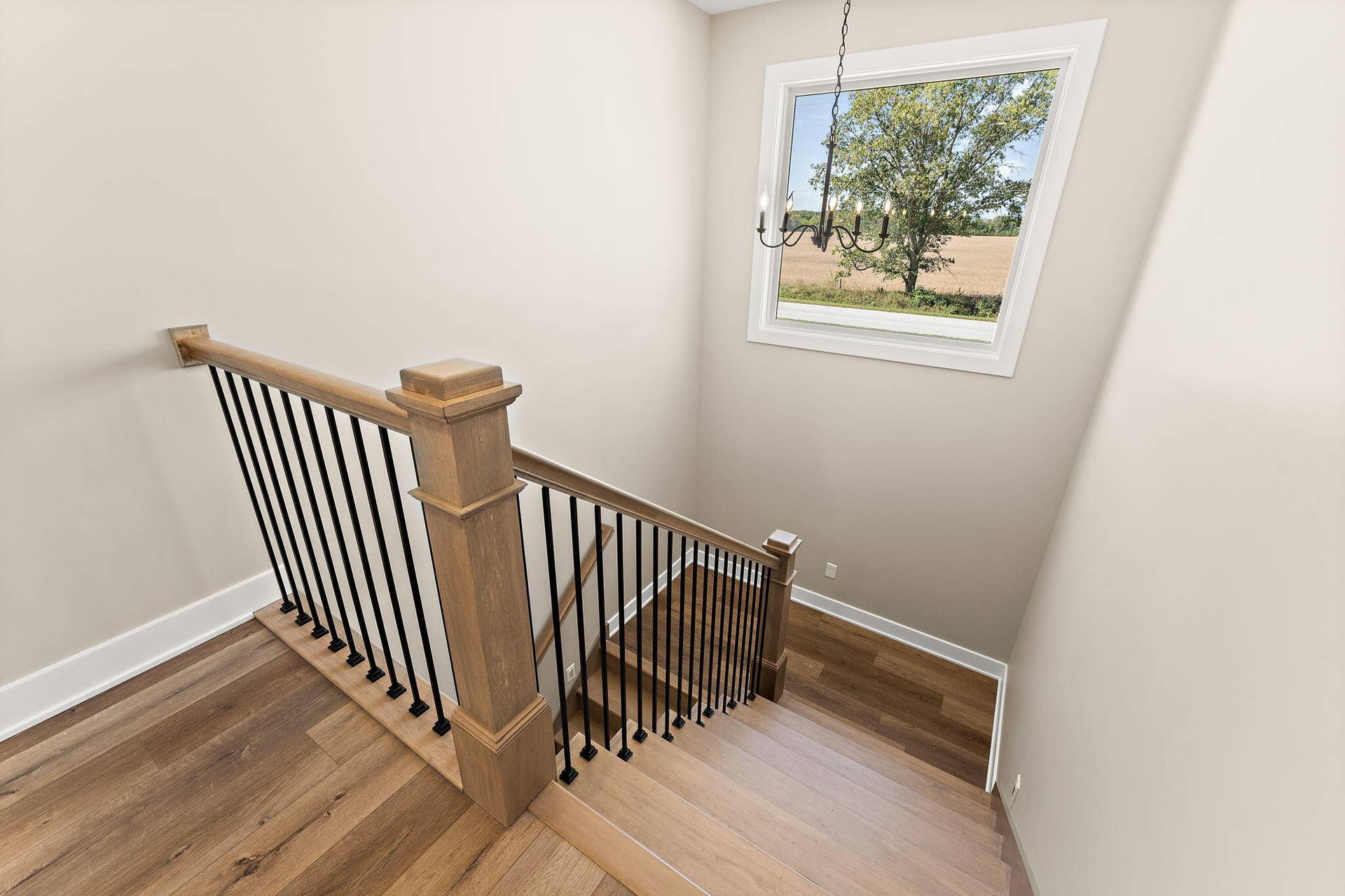 20-web-or-mls-DSC04861