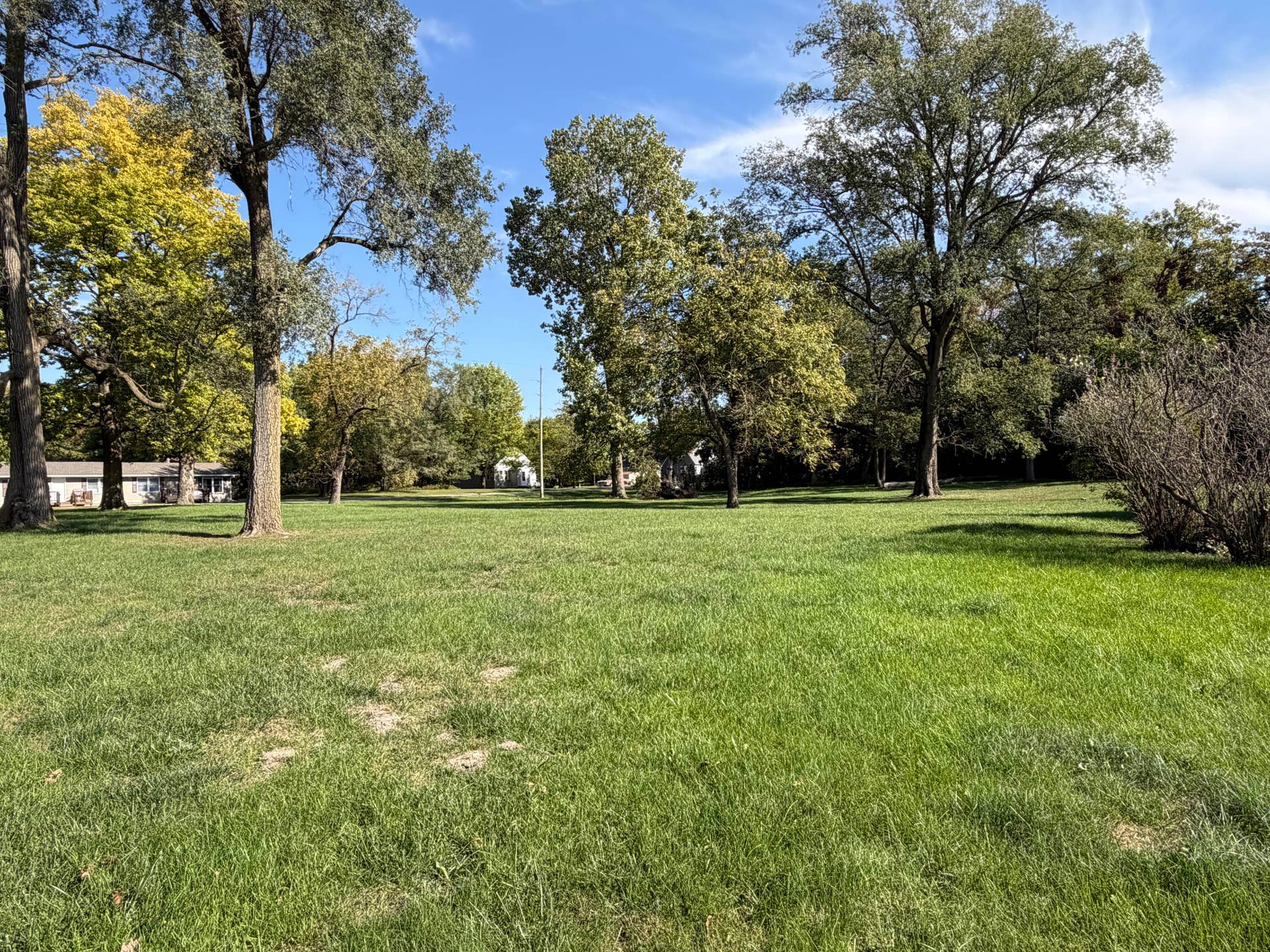 Large Lot