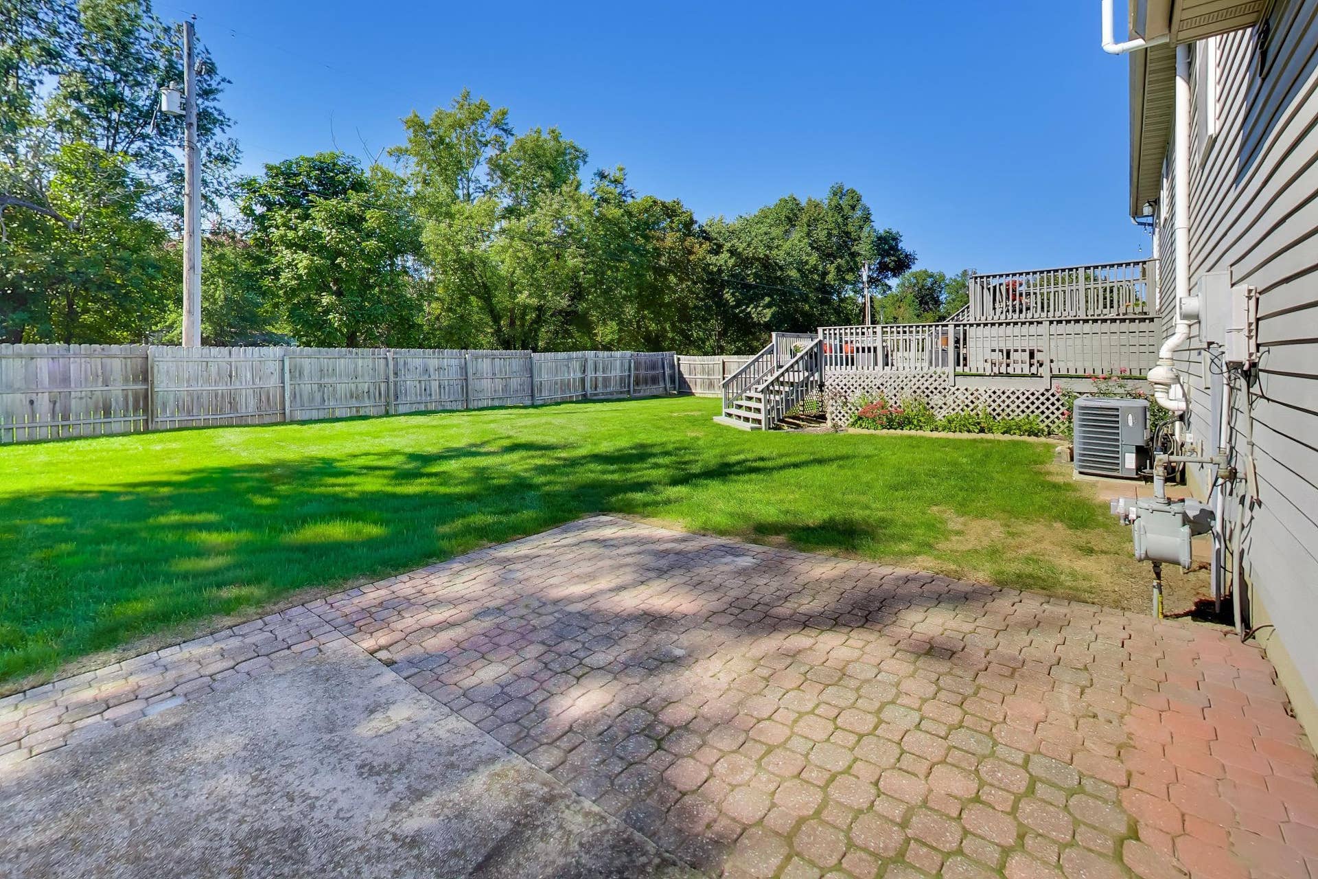 Backyard Patro