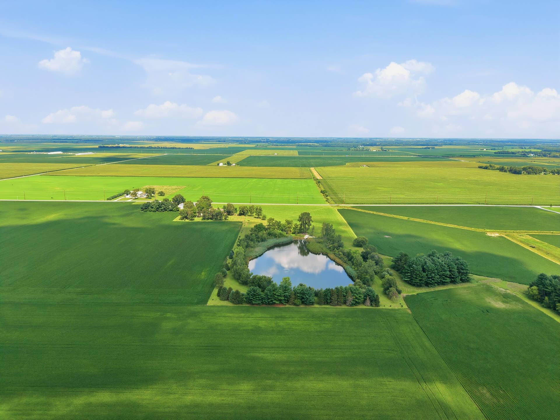 dji_20260804121516_0200_d