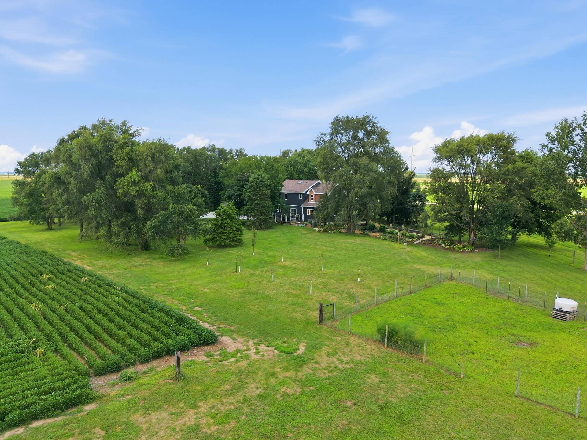 dji_20260804121839_0212_d