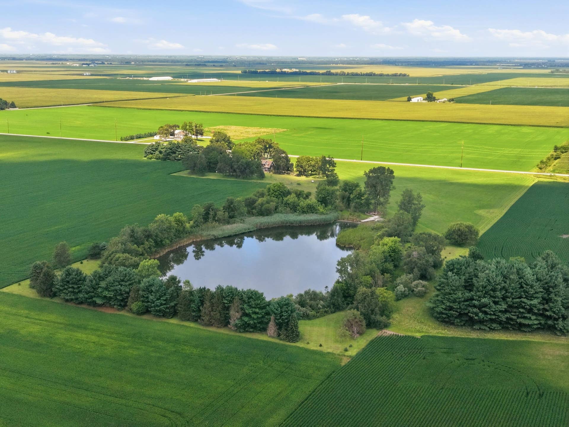 dji_20260804121621_0204_d