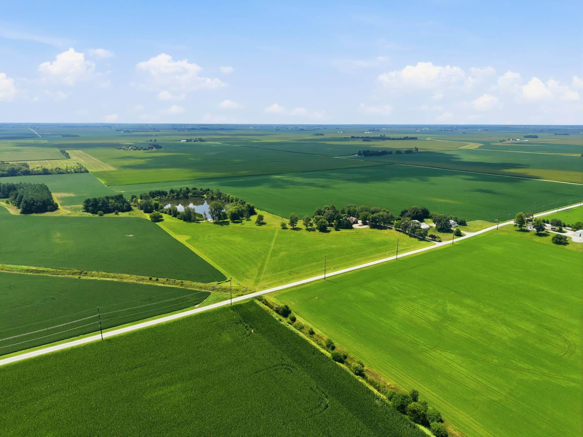 dji_20260804121333_0197_d