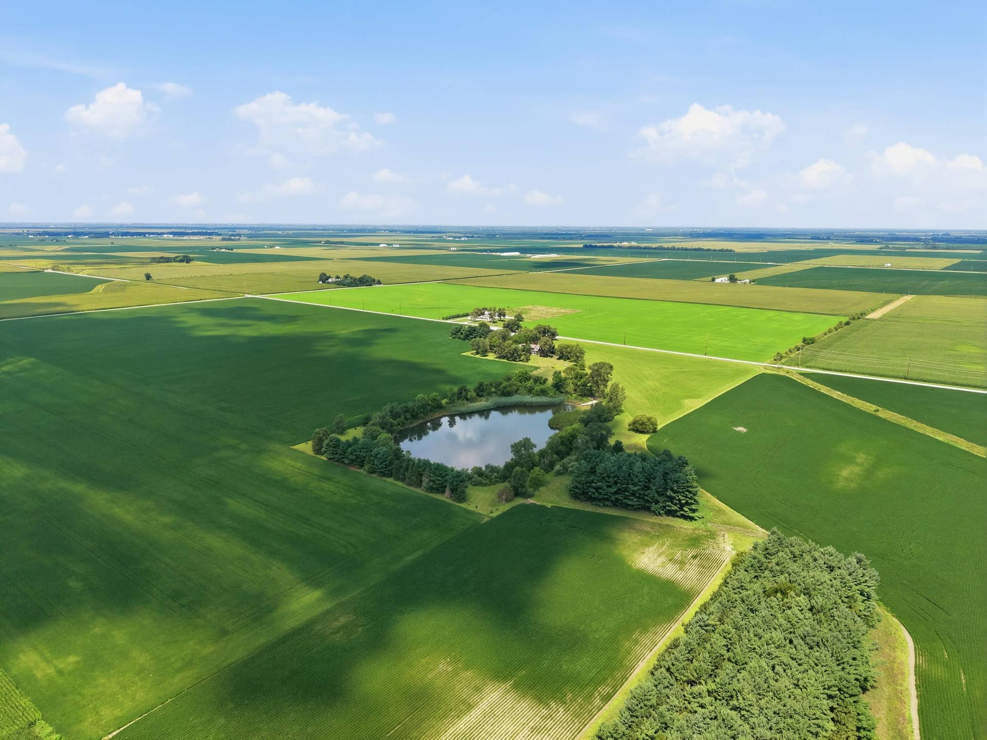dji_20260804121450_0199_d